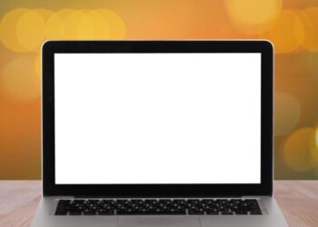 How Suaki Digital Marketing Helps Businesses Grow Online